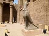 Edfou Temple Horus Faucon 0557